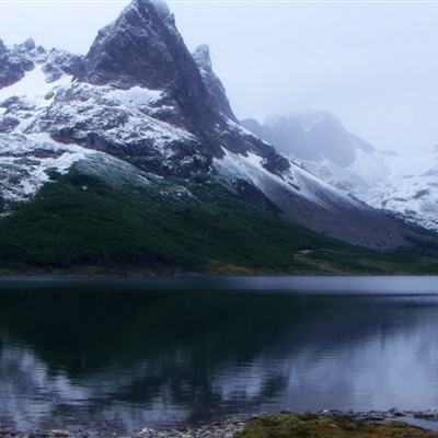 上海麻将app下载