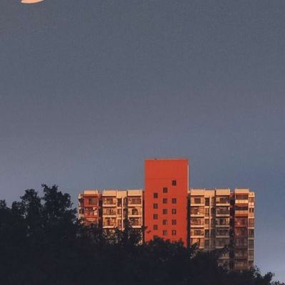 免费的行情网站app